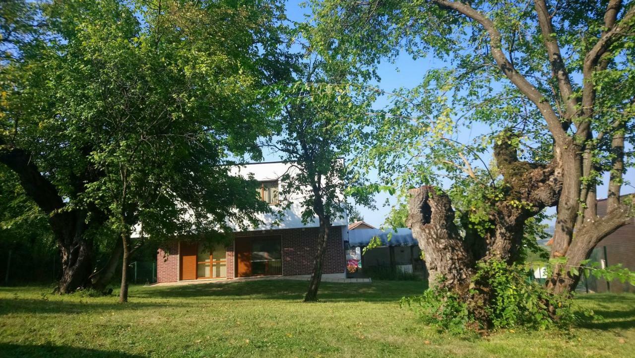 Villa Dream Dobrevtsi Dış mekan fotoğraf