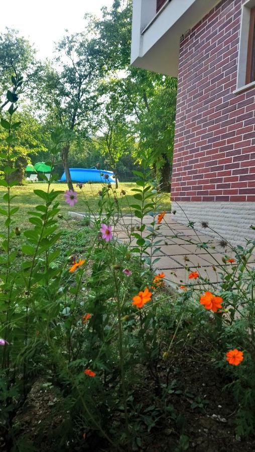 Villa Dream Dobrevtsi Dış mekan fotoğraf
